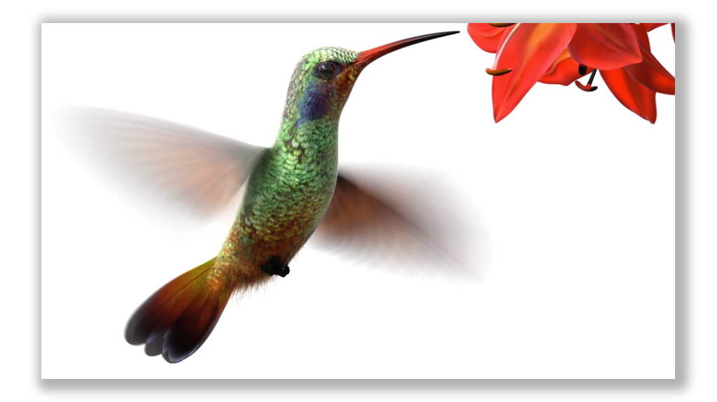 Poster image for video demo of animated logo