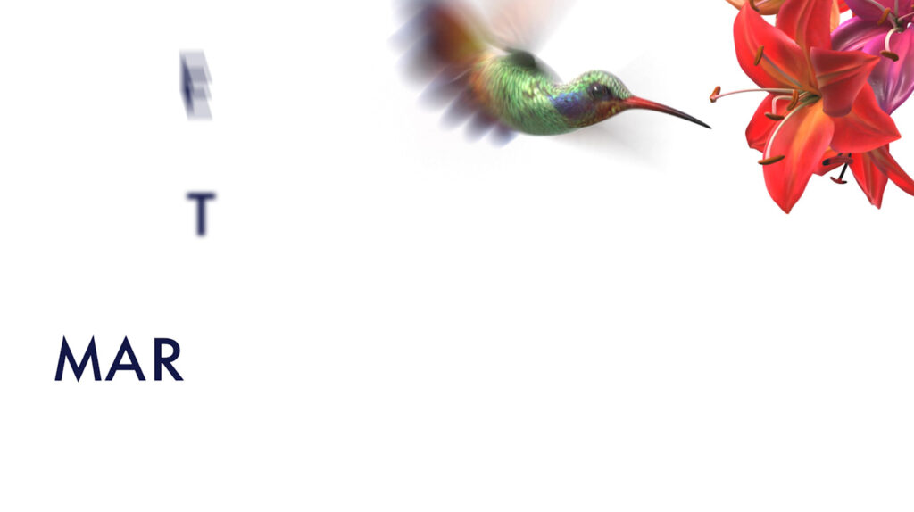 Screenshot showing hummingbird in motion and flower with only a few of the letters of the business name visible.