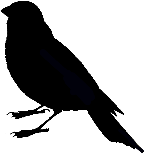 solid black icon of a songbird