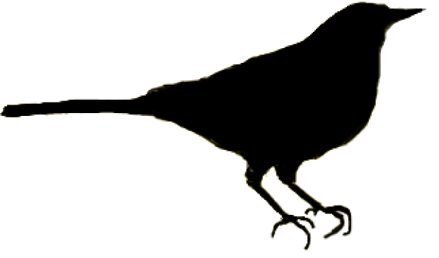 solid black icon of a goldfinch