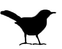 Solid black icon of mockingbird