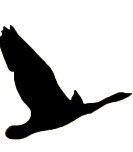 solid black icon of a goose in flight