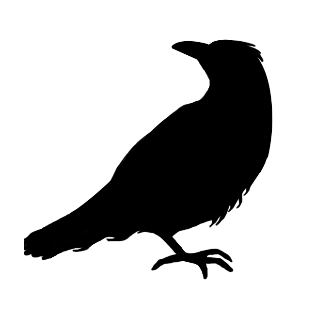 solid black icon of a raven