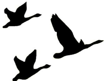 solid black icon of three geese flying