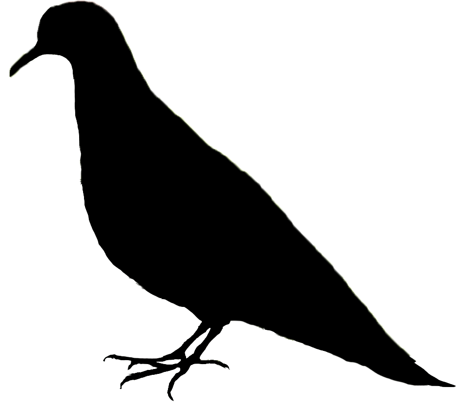 solid black icon of a dove