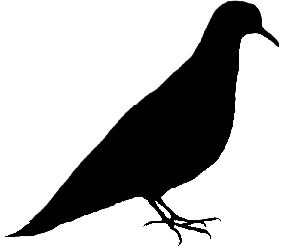 solid black icon of a dove