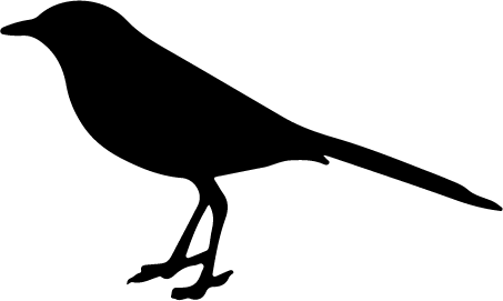 solid black icon of a mockingbird