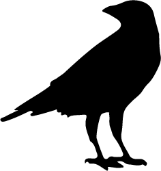solid black icon of a raven