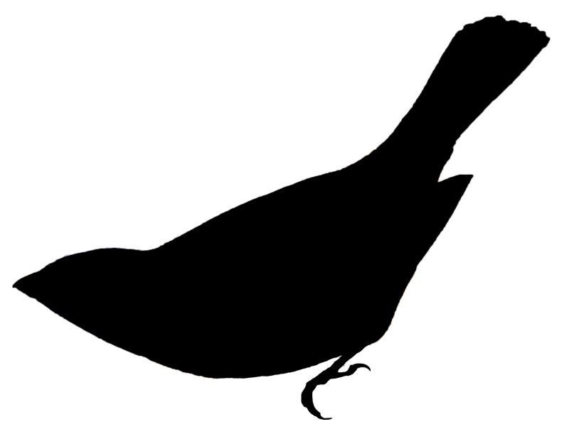 solid black icon of a tanager