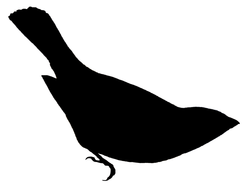 solid black icon of a tanager