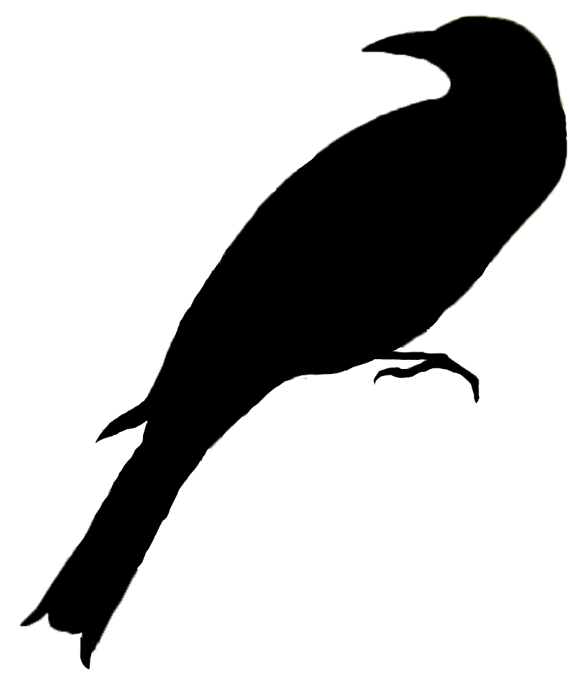 solid black icon of a tropical bird