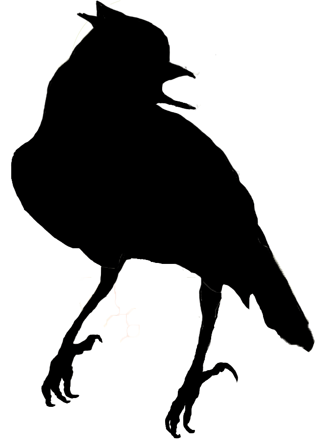 solid black icon of a crested titmouse